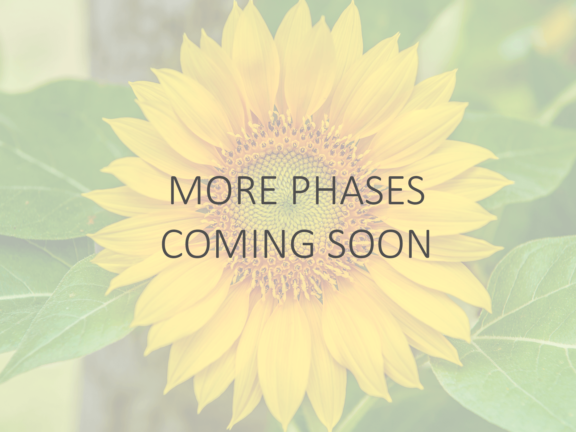 More phases coming soon